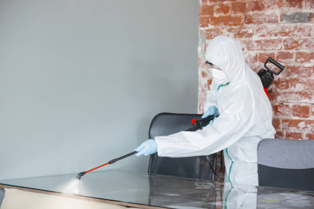 Best Mold Remediation for Vacation Homes  in USA